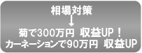 相場対策→菊で３００万円収益アップ　カーネーションで９０万円収益アップ